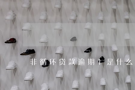非循环贷款逾期1是什么意思 非循环贷款逾期1是什么意思