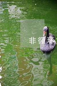 非循环贷款逾期2个月已结清 非循环贷款逾期2个月已结清