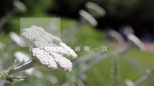 非循环贷款逾期一次 非循环贷款逾期一次