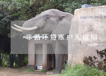 非循环贷账户无逾期 非循环贷账户无逾期