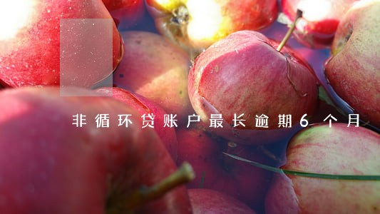 非循环贷账户最长逾期6个月 非循环贷账户最长逾期6个月