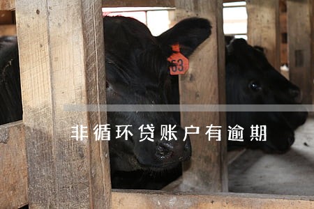非循环贷账户有逾期 非循环贷账户有逾期