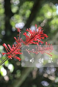 非循环贷账户逾期180天 非循环贷账户逾期180天