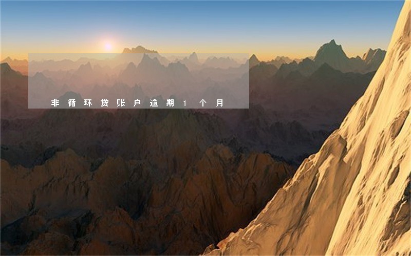 非循环贷账户逾期1个月 非循环贷账户逾期1个月