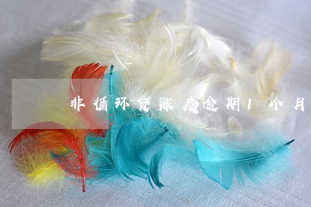 非循环贷账户逾期1个月房贷 非循环贷账户逾期1个月房贷