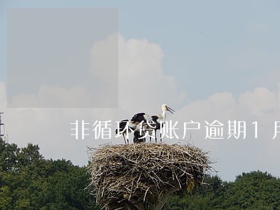 非循环贷账户逾期1月 非循环贷账户逾期1月