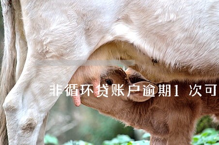 非循环贷账户逾期1次可以房贷嘛 非循环贷账户逾期1次可以房贷嘛