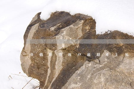 非循环贷账户逾期43元