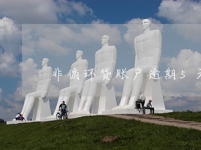 非循环贷账户逾期5天影响房贷吗 非循环贷账户逾期5天影响房贷吗