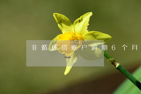 非循环贷账户逾期6个月了