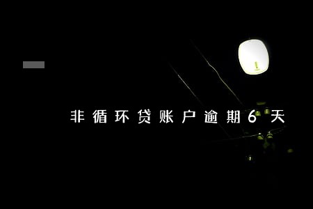 非循环贷账户逾期6天 非循环贷账户逾期6天
