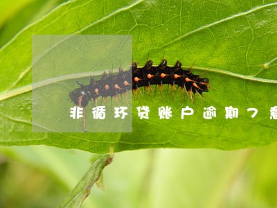 非循环贷账户逾期7意味着什么