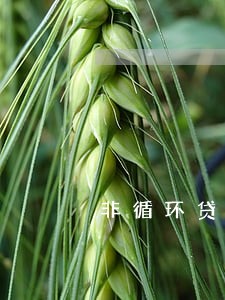 非循环贷账户逾期7次 非循环贷账户逾期7次