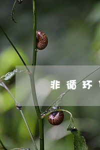 非循环贷账户逾期一个月严重吗 非循环贷账户逾期一个月严重吗