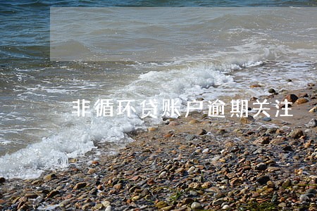 非循环贷账户逾期关注