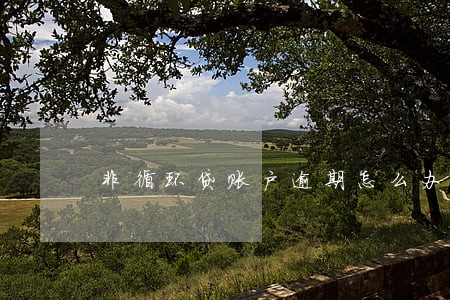非循环贷账户逾期怎么办 非循环贷账户逾期怎么办