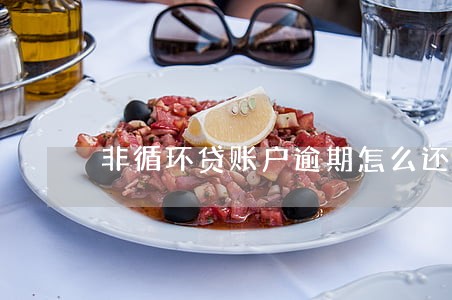 非循环贷账户逾期怎么还 非循环贷账户逾期怎么还