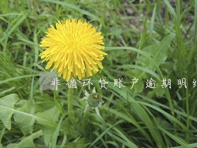 非循环贷账户逾期明细怎么查询 非循环贷账户逾期明细怎么查询