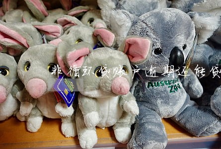 非循环贷账户逾期还能贷款吗 非循环贷账户逾期还能贷款吗