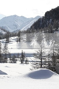 非循环贷逾期1个月怎么消除 非循环贷逾期1个月怎么消除