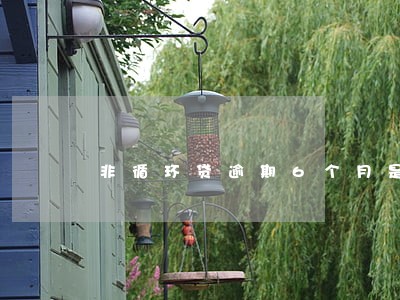 非循环贷逾期6个月是黑名单吗 非循环贷逾期6个月是黑名单吗