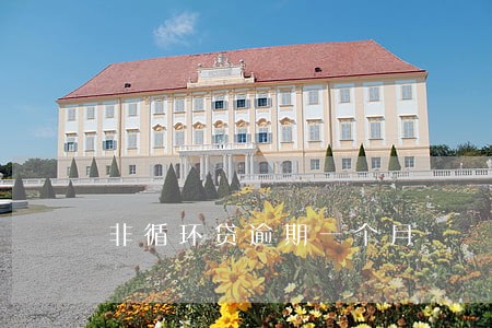 非循环贷逾期一个月 非循环贷逾期一个月