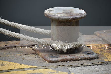 非循环贷逾期一个月一千块 非循环贷逾期一个月一千块