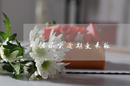 非循环贷逾期变呆账
