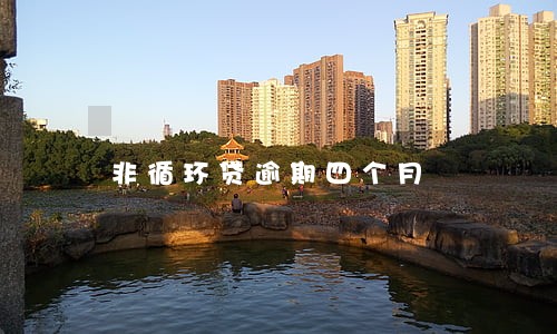 非循环贷逾期四个月 非循环贷逾期四个月