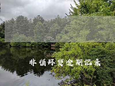 非循环贷逾期记录 非循环贷逾期记录