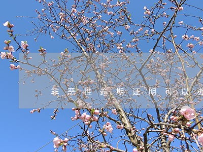 非恶性逾期证明可以办贷款么 非恶性逾期证明可以办贷款么