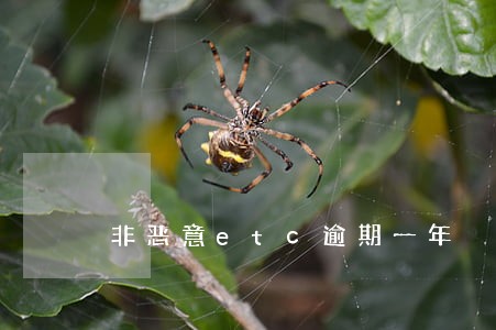 非恶意etc逾期一年 非恶意etc逾期一年
