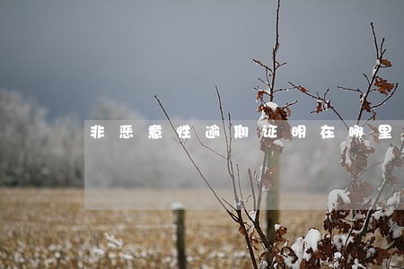 非恶意性逾期证明在哪里开办 非恶意性逾期证明在哪里开办