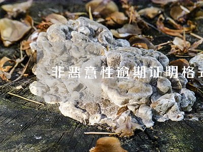 非恶意性逾期证明格式 非恶意性逾期证明格式