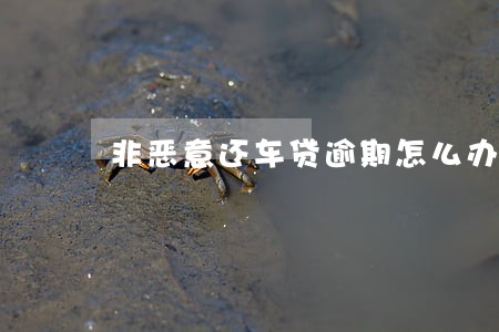 非恶意还车贷逾期怎么办