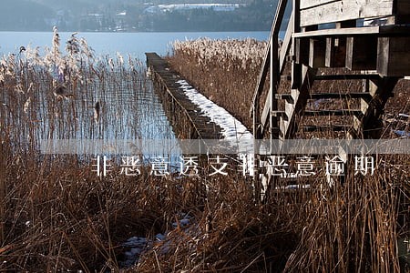 非恶意透支非恶意逾期 非恶意透支非恶意逾期