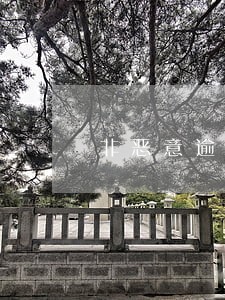 非恶意逾期