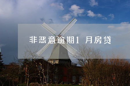 非恶意逾期1月房贷 非恶意逾期1月房贷