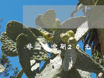非恶意逾期20元 非恶意逾期20元