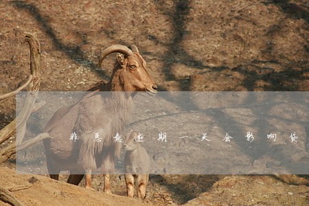 非恶意逾期一天会影响贷款吗 非恶意逾期一天会影响贷款吗