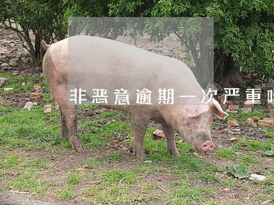 非恶意逾期一次严重吗