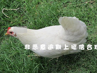 非恶意逾期上征信合理吗 非恶意逾期上征信合理吗