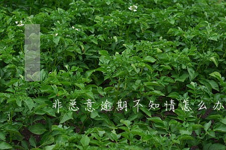 非恶意逾期不知情怎么办 非恶意逾期不知情怎么办