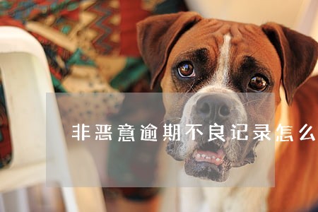 非恶意逾期不良记录怎么消除