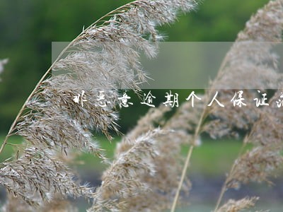 非恶意逾期个人保证范本模板 非恶意逾期个人保证范本模板