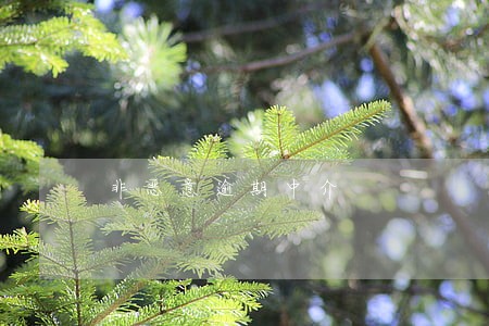 非恶意逾期中介 非恶意逾期中介