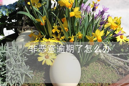 非恶意逾期了怎么办 非恶意逾期了怎么办