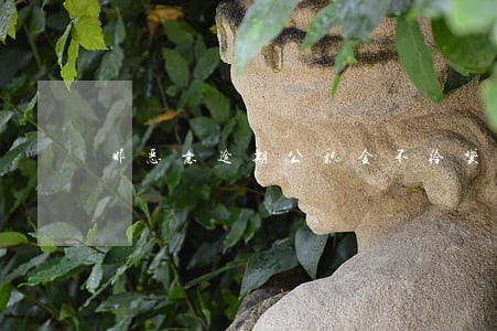 非恶意逾期公积金不给贷款 非恶意逾期公积金不给贷款