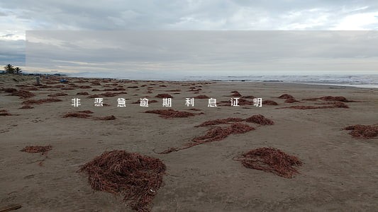 非恶意逾期利息证明 非恶意逾期利息证明