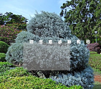 非恶意逾期原因 非恶意逾期原因